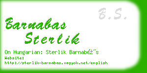 barnabas sterlik business card